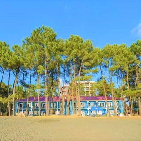 Evrika Hotel Shekvetili المظهر الخارجي الصورة