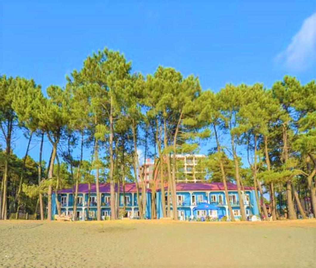 Evrika Hotel Shekvetili المظهر الخارجي الصورة