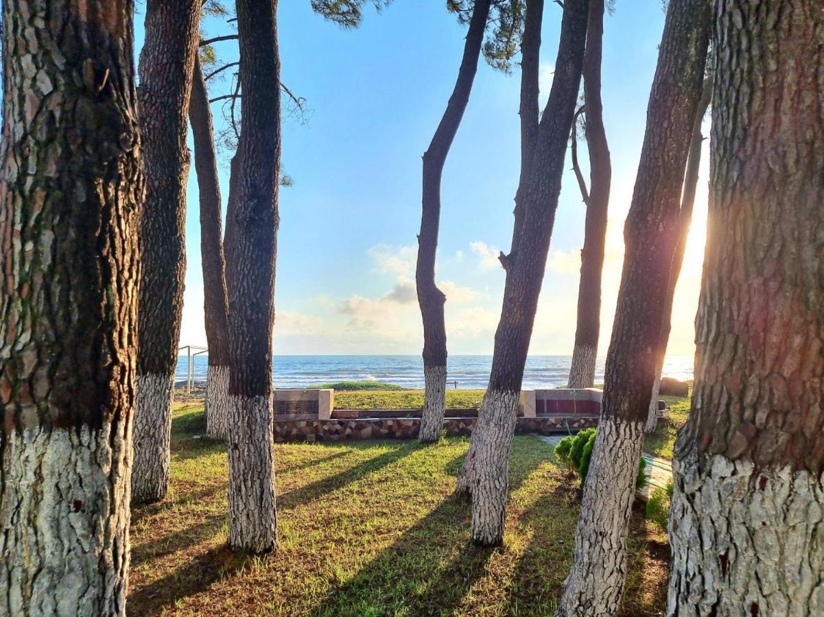 Evrika Hotel Shekvetili المظهر الخارجي الصورة