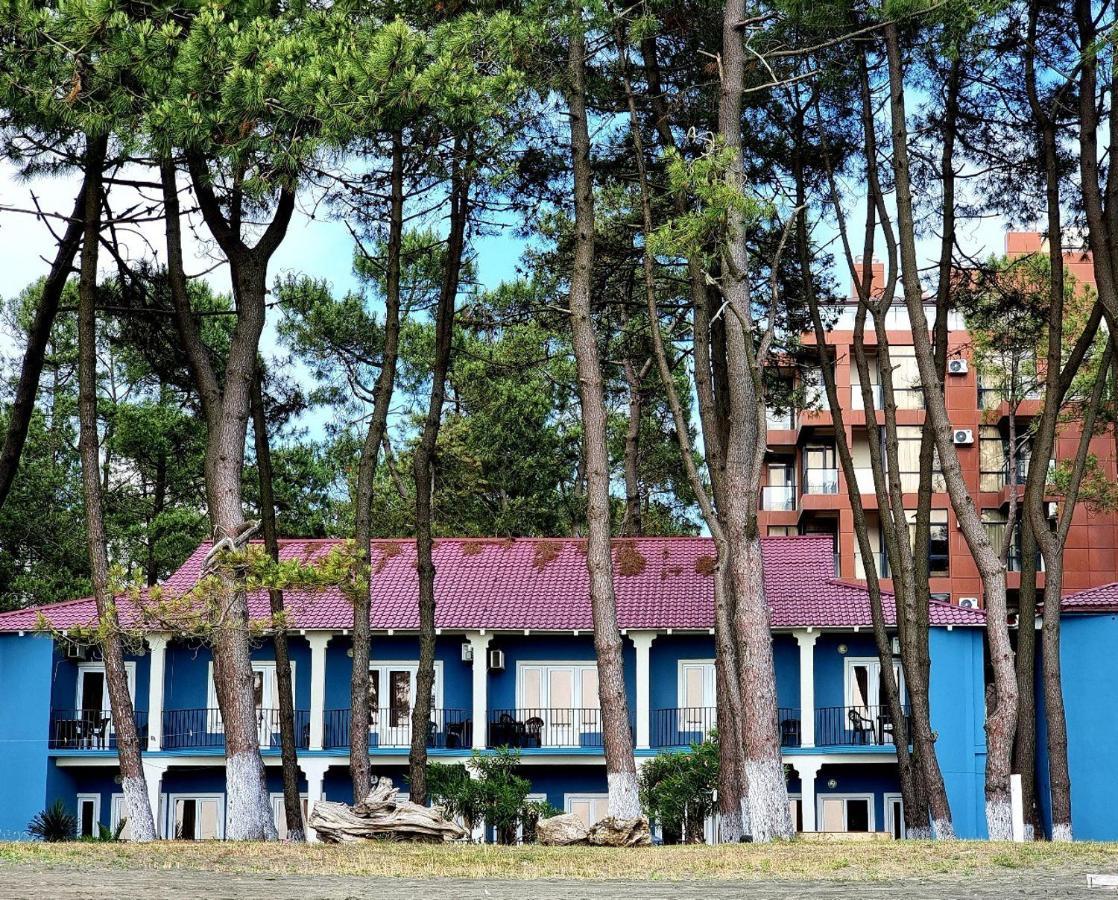 Evrika Hotel Shekvetili المظهر الخارجي الصورة